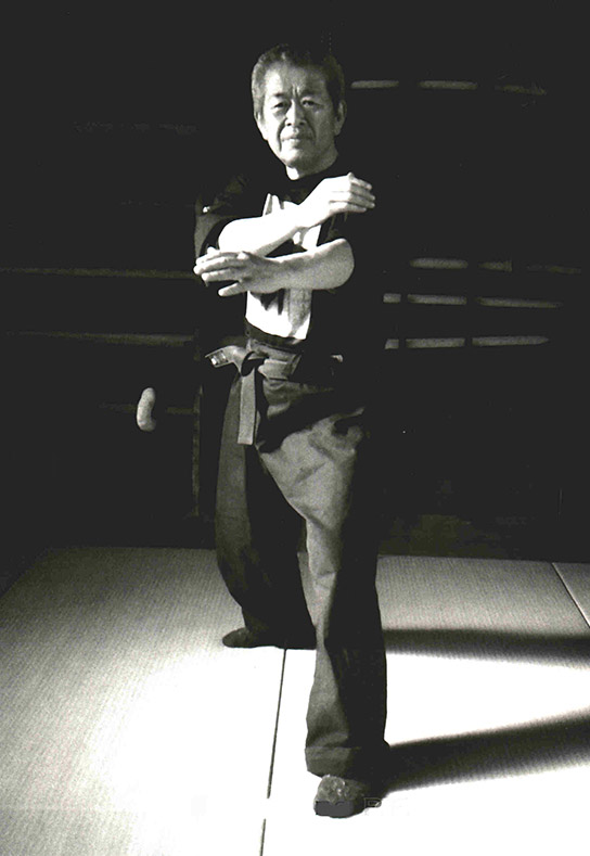 the venerable octogenarian martial artist hatsumi sensei